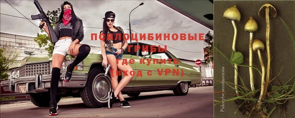 спайс Алексеевка